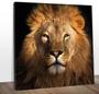 Imagem de Quadro Decorativo Canvas Leoa Leroy Canvas Estilo Fine 60x60