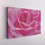 Imagem de Quadro Decorativo Canvas Rosa Flor Floral Macro Gota Água