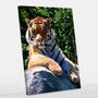 Imagem de Quadro Decorativo Canvas Tigre 60x90 - Foto Paulista