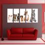 Imagem de Quadro Decorativo Cão Pet Shop Decorações Salas 5 Peças GG5