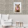 Imagem de Quadro Decorativo Capivara Bubble Gum 24x18cm - com vidro