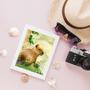 Imagem de Quadro Decorativo Capivara Com Passarinhos 24x18cm - com vidro