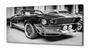 Imagem de Quadro Decorativo  Carro Mustang Shelby em Tecido Canvas 130x60