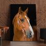 Imagem de Quadro Decorativo Cavalo Canvas 50x70- Foto Paulista