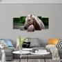 Imagem de Quadro decorativo Cavalo Marrom Animais Kit 5 Peças 125x60