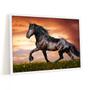 Imagem de Quadro Decorativo Cavalo Natureza Por Do Sol Black 60x40cm