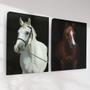 Imagem de Quadro Decorativo Cavalos Kit 2 Quadros