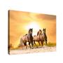 Imagem de Quadro decorativo cavalos summer