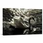 Imagem de Quadro decorativo Cisne - Animais - Tela em Tecido Canvas