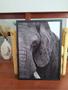 Imagem de Quadro Decorativo com Moldura para Sala Imagem Elefante - Londrinorte Molduras