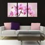 Imagem de Quadro Decorativo Composição Trio 3 Peças Orquídea Rosa"