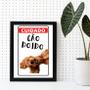 Imagem de Quadro Decorativo Cuidado Cão Doido 24x18cm