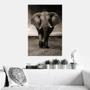 Imagem de Quadro Decorativo Elefante Midiapoparte Salas 60X80