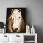 Imagem de Quadro Decorativo Emoldurado Cavalo Branco Animais Para sala quarto