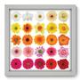 Imagem de Quadro Decorativo - Flores - 33cm x 33cm - 078qdfb