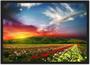Imagem de Quadro Decorativo Flores Campo Jardim Paisagens Salas Decorações Com Moldura
