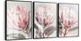 Imagem de Quadro decorativo Flores Proteas Rosa "