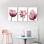 Imagem de Quadro Decorativo Flores Tulipas Rosas Para Quarto Sala Kit 3 peças 20x30cm