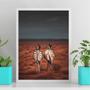 Imagem de Quadro Decorativo Fotografia Casal Zebras 33X24Cm - Vidro