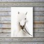 Imagem de Quadro Decorativo Fotografia Cavalo Branco 24X18Cm