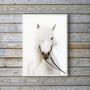 Imagem de Quadro Decorativo Fotografia Cavalo Branco 33X24Cm