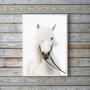 Imagem de Quadro Decorativo Fotografia Cavalo Branco 45x34cm - com vidro