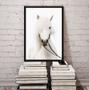 Imagem de Quadro Decorativo Fotografia Cavalo Branco 45x34cm