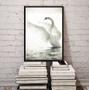 Imagem de Quadro Decorativo Fotografia Cisne Branco 45x34cm - com vidro