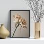 Imagem de Quadro Decorativo Fotografia Flor- Tons Bege 45x34cm - com vidro