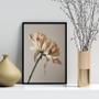 Imagem de Quadro Decorativo Fotografia Flor- Tons Bege 45X34Cm