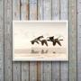 Imagem de Quadro Decorativo Fotografia Patos Selvagens 24x18cm - com vidro