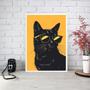 Imagem de Quadro Decorativo Gato De Óculos Escuro 33X24Cm - Com Vidro