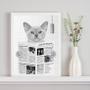 Imagem de Quadro Decorativo Gato Lendo Jornal No Banheiro 33x24cm - com vidro