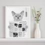 Imagem de Quadro Decorativo Gato Lendo Jornal No Banheiro 45X34Cm