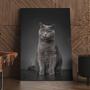 Imagem de Quadro Decorativo Gato Preto Canvas 60x90 - Foto Paulista