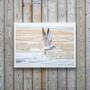 Imagem de Quadro Decorativo Horizontal Gaivota Praia 45X34Cm - Vidro