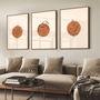 Imagem de Quadro Decorativo Kit Boho Botânico 55x40 Com Moldura 