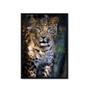 Imagem de Quadro Decorativo Leopardo Animal Felinos Sala Quarto 43x63