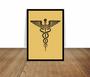 Imagem de Quadro Decorativo Medicina Bastão De Esculápio Asclépio Fundo Dourado Com Moldura RC054