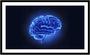 Imagem de Quadro Decorativo Medicina Médicos Cérebro Neurologia Psiquiatria Consultórios Com Moldura RC030