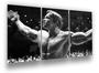 Imagem de Quadro decorativo Mister Universo Arnold Schwarzenegger"