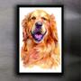 Imagem de Quadro Decorativo Moldura de Madeira 60x40 Golden Retriever