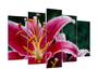 Imagem de Quadro Decorativo Mosaico 5 Peças Mod059 Flor Lírios Rosa