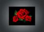 Imagem de Quadro Decorativo Natureza Flor Rosas Vermelhas Paisagem Fundo Preto Com Moldura RC166