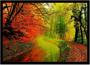 Imagem de Quadro Decorativo Natureza Paisagem Bosque Outono Salas Quartos Escritório Com Moldura R081