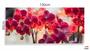 Imagem de Quadro Decorativo Orquideas Magenta em Tecido Canvas 130x60