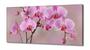 Imagem de Quadro Decorativo Orquídeas Rosa em Tecido Canvas 130x60  Sala Quarto