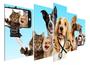 Imagem de Quadro Decorativo Painel Gato Cachorro Cão Petshop Veterinário"