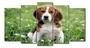 Imagem de Quadro Decorativo Painel Pet Cachorro Beagle"