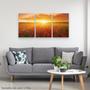 Imagem de Quadro Decorativo Paisagem Flores Campo Pôr do Sol